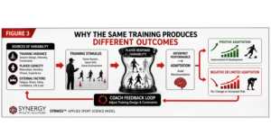 Individual player variability in training response leads to different development outcomes in soccer